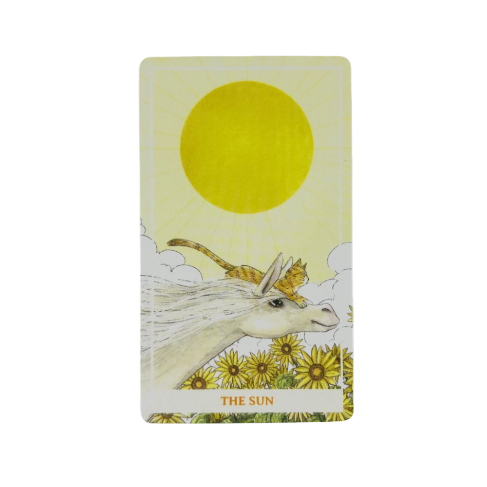 Cartes de tarot Sunny Orange C - Tarot Deck With Guidebook avis et prix